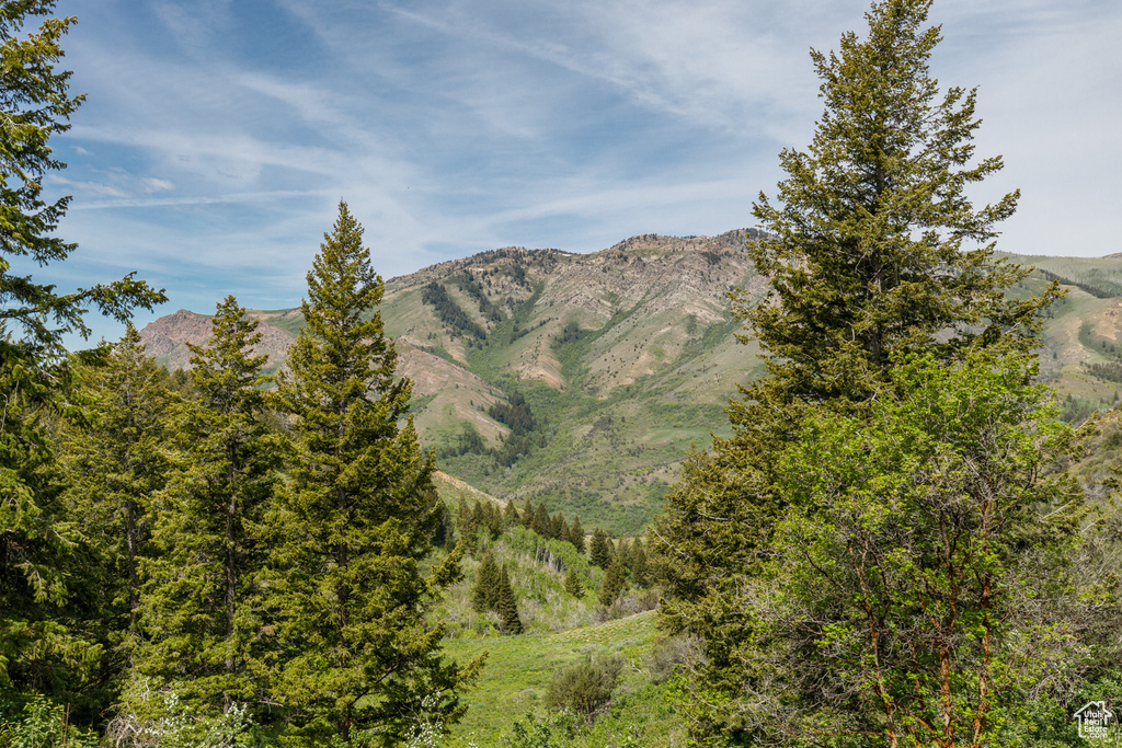 View of mountain background