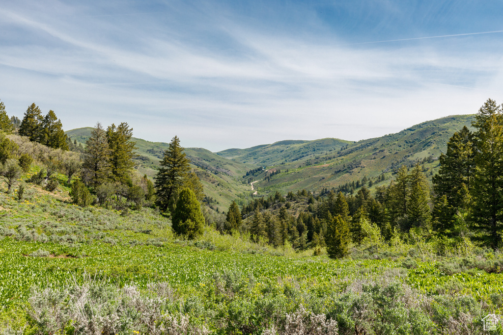 View of mountain backdrop