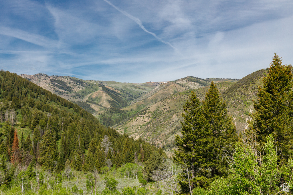 View of mountain background
