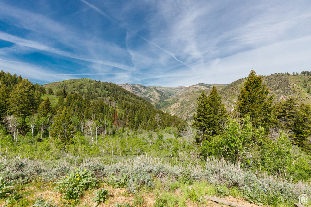 View of mountain backdrop