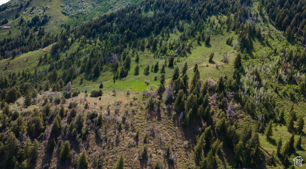 Aerial overview of property\\\'s location featuring a heavily wooded area