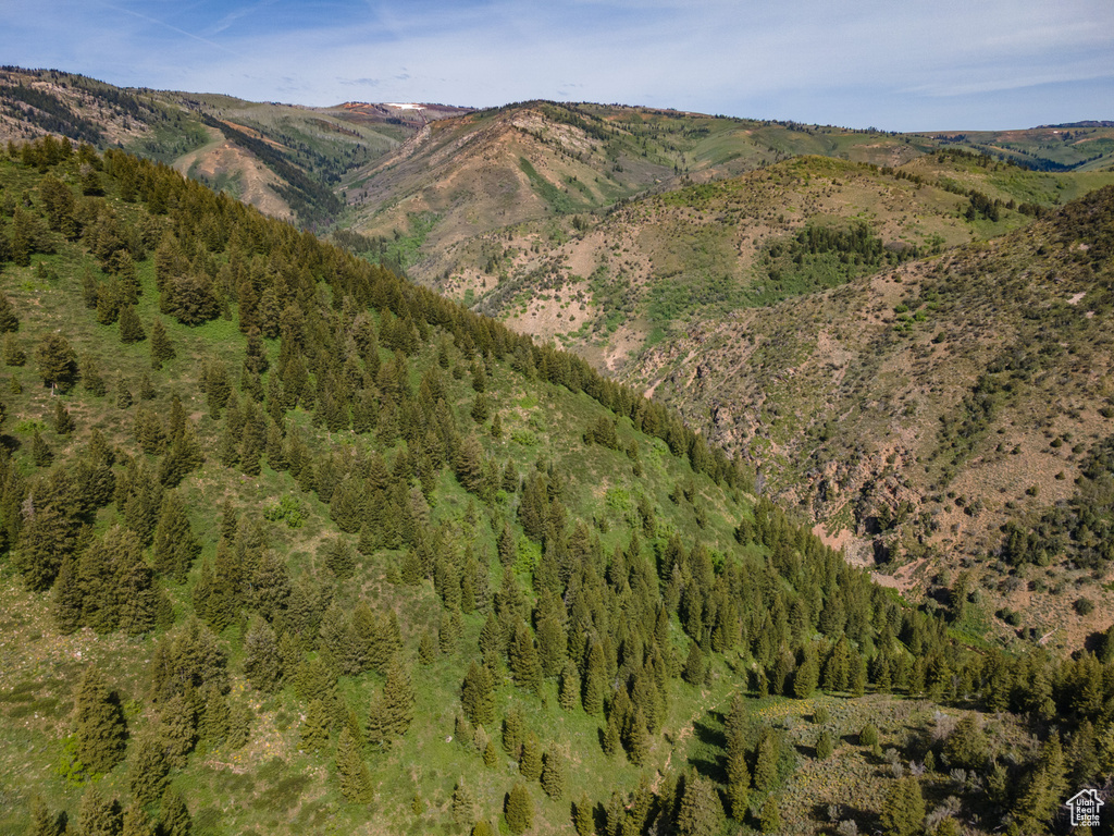 View of mountain backdrop with a forest