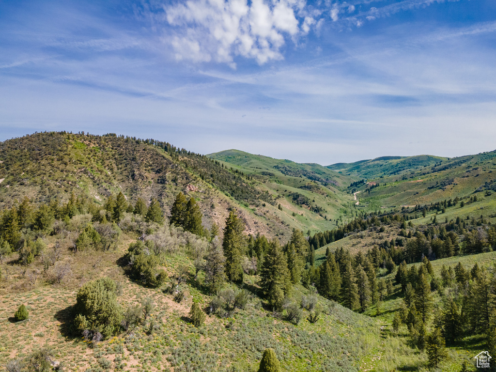 View of mountain backdrop