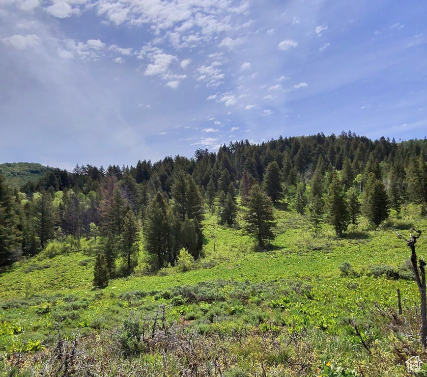 View of wooded area