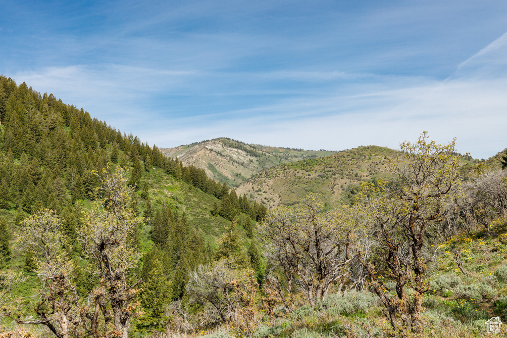 View of mountain background