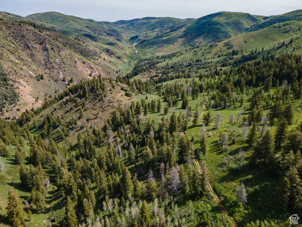 View of mountain backdrop