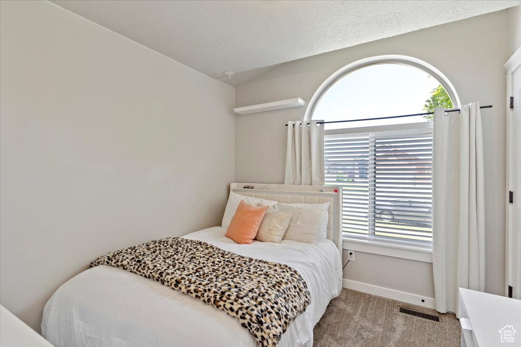 2876 S 1200 W Syracuse, UT 84075