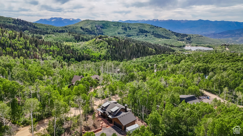 Drone / aerial view of a forest and a water and mountain view
