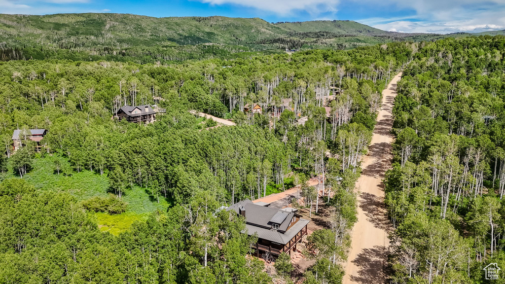 Drone / aerial view of a forest and a mountainous background