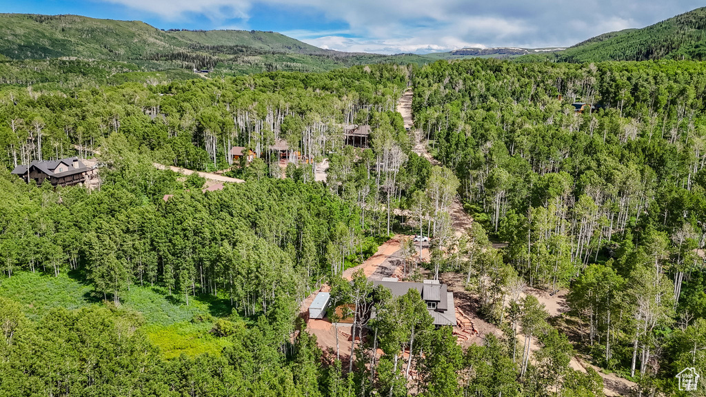 Drone / aerial view of a forest and a mountainous background
