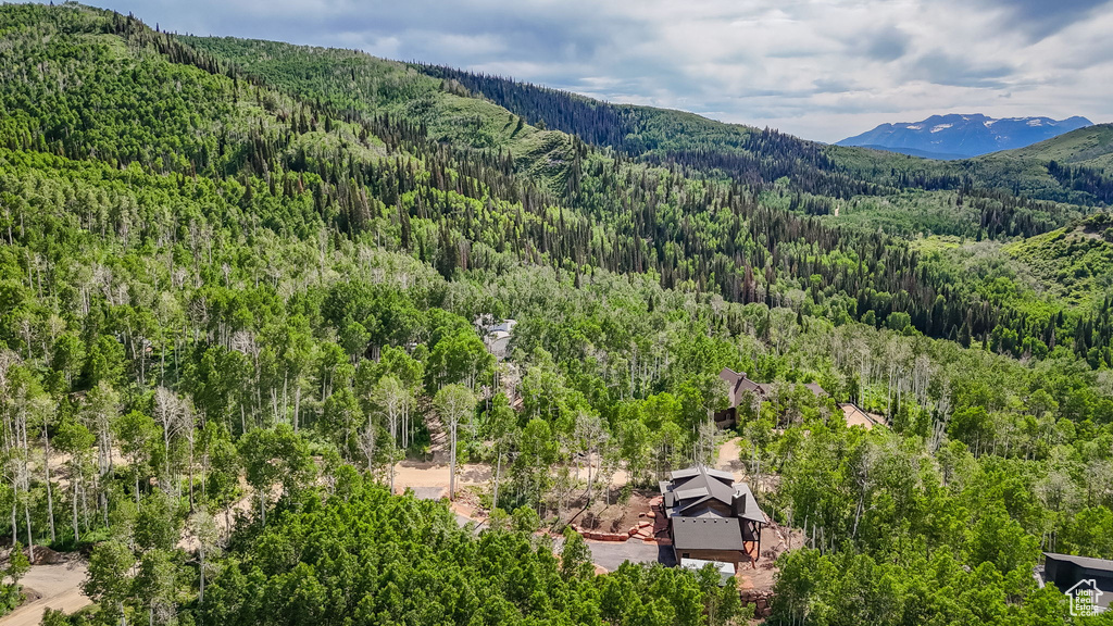 Drone / aerial view of a forest and mountains