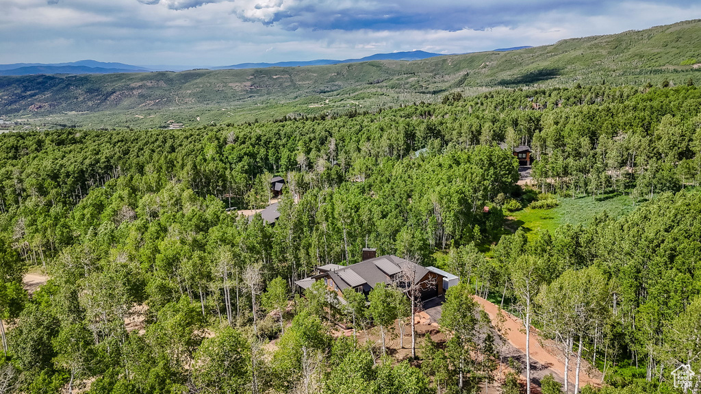 Drone / aerial view of a mountain backdrop