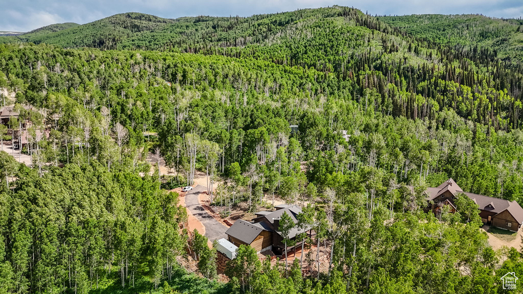 Aerial view of a heavily wooded area and mountains