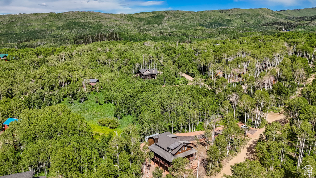 Bird\'s eye view of a heavily wooded area