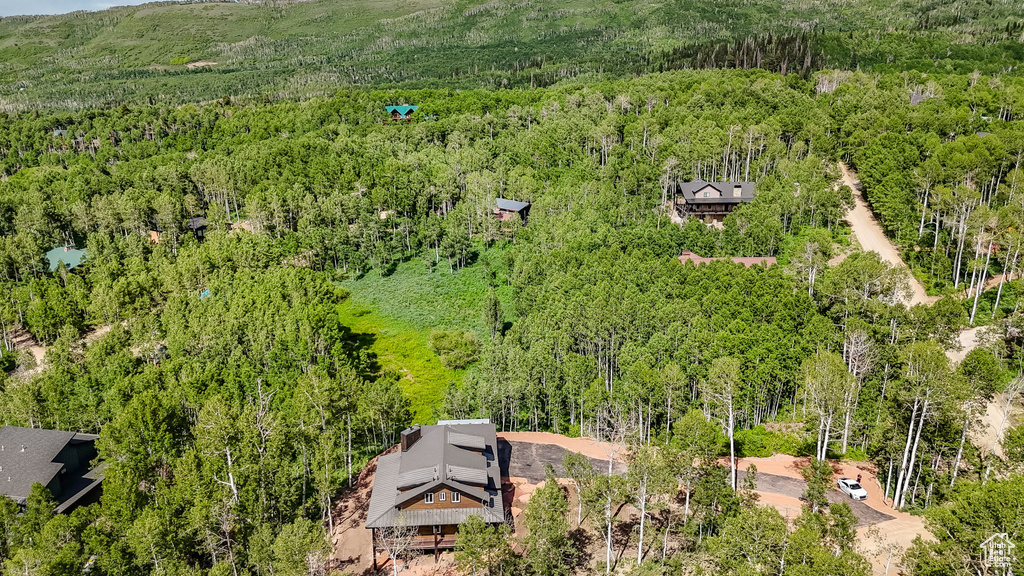 Bird\'s eye view of a heavily wooded area