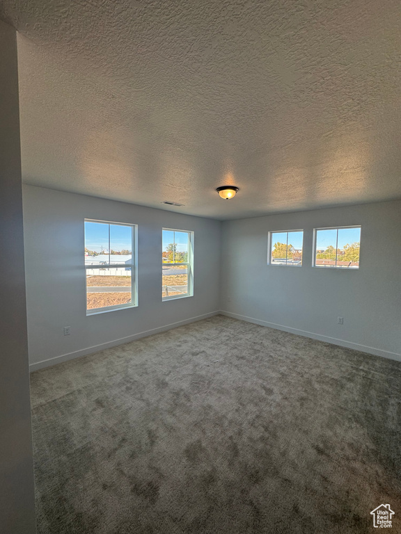 Carpeted spare room with plenty of natural light and a textured ceiling