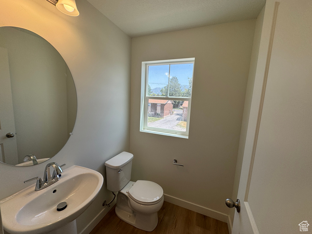Half bath with a sink and wood finished floors
