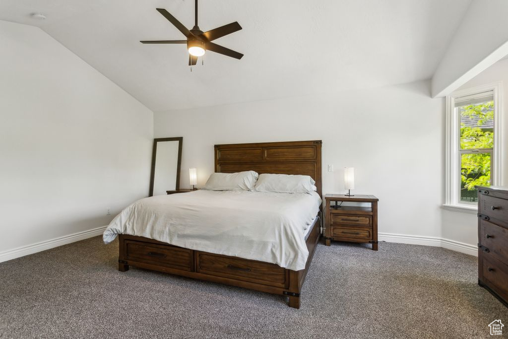 Carpeted bedroom with multiple windows, a ceiling fan, and high vaulted ceiling