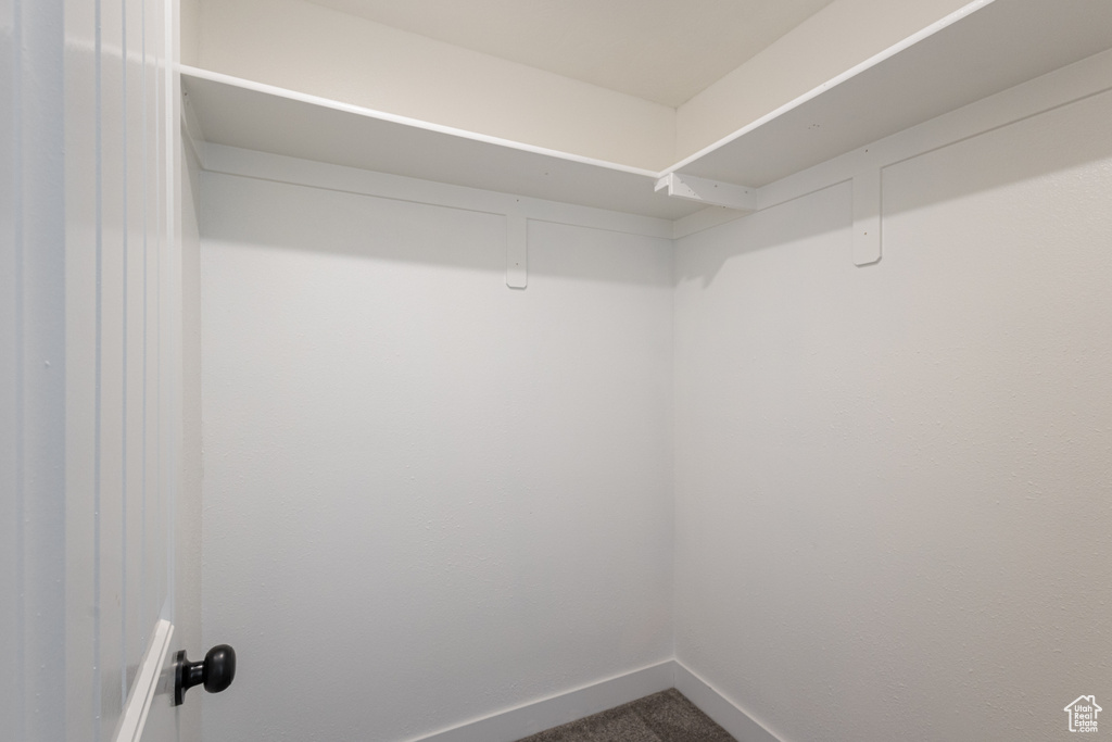 Walk in closet featuring dark colored carpet