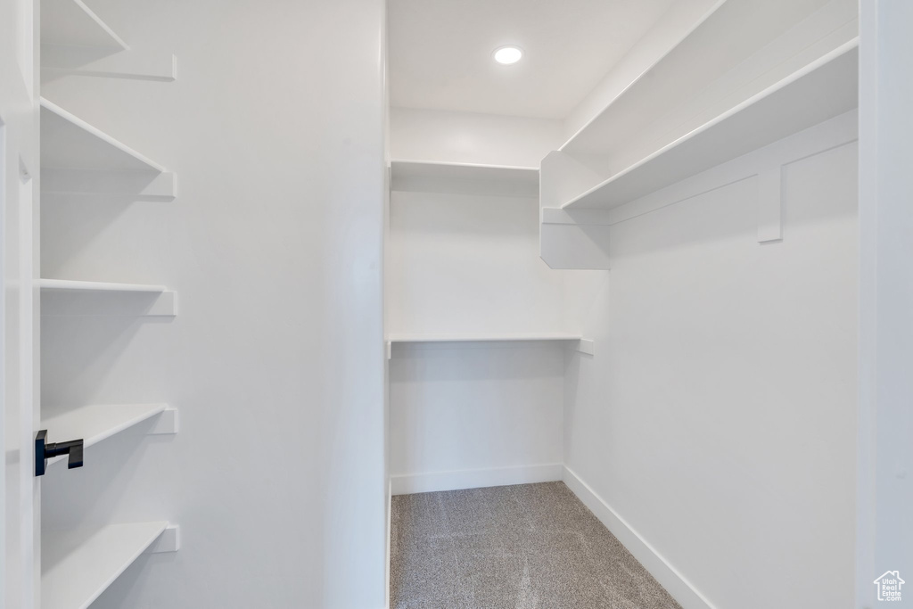Spacious closet with carpet