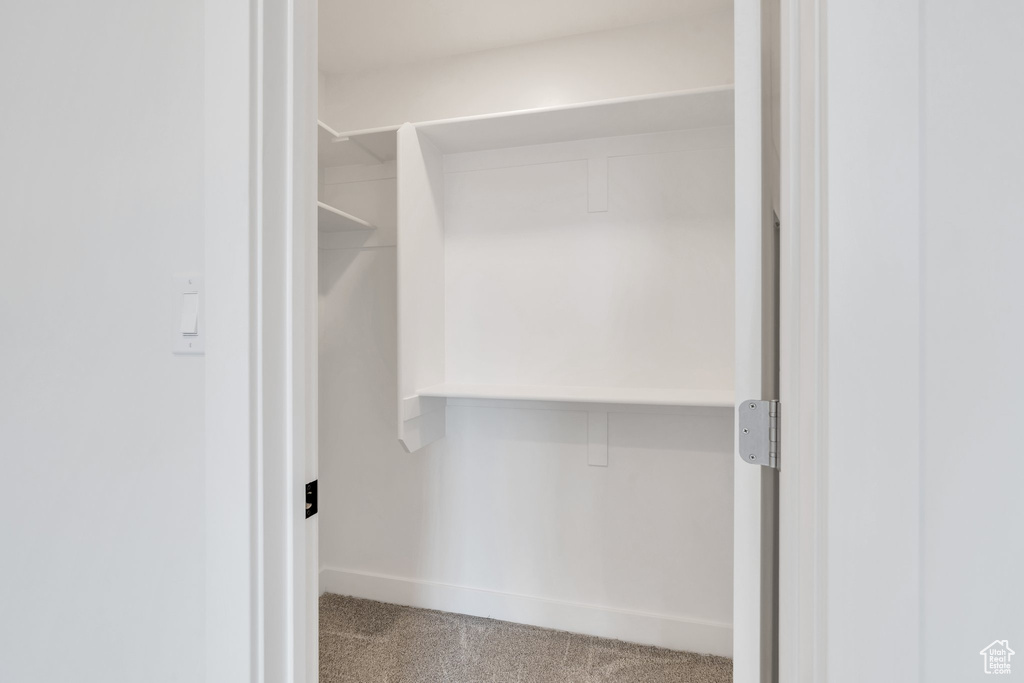 Spacious closet with carpet flooring