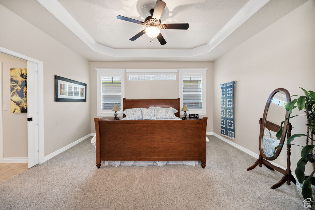 Bedroom with carpet, a tray ceiling, multiple windows, and a ceiling fan