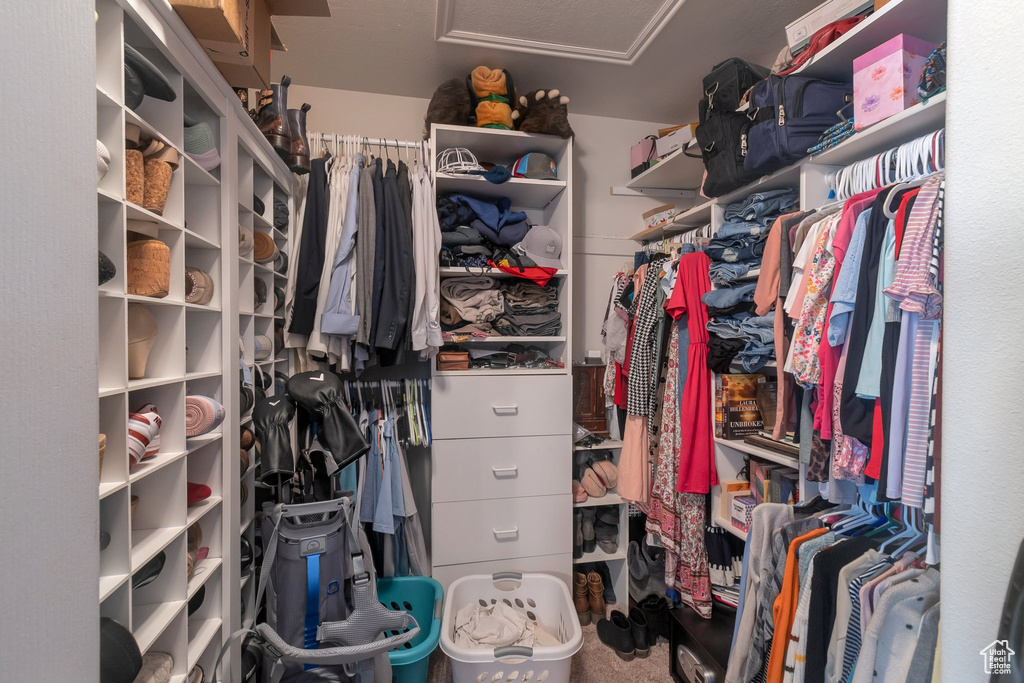 Spacious closet featuring attic access