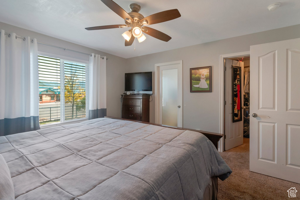 Carpeted bedroom with a spacious closet, a closet, and a ceiling fan