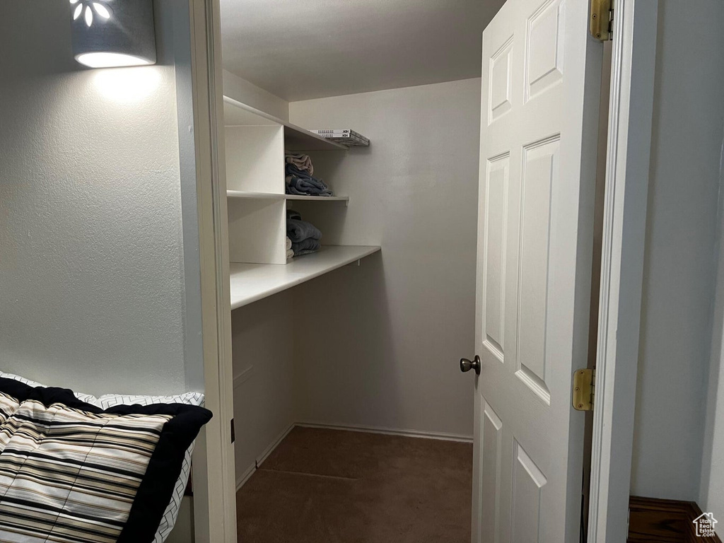 Spacious closet with dark carpet