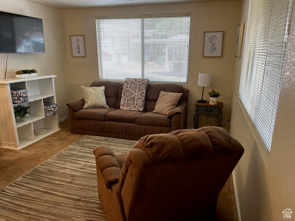 Carpeted living room featuring healthy amount of natural light