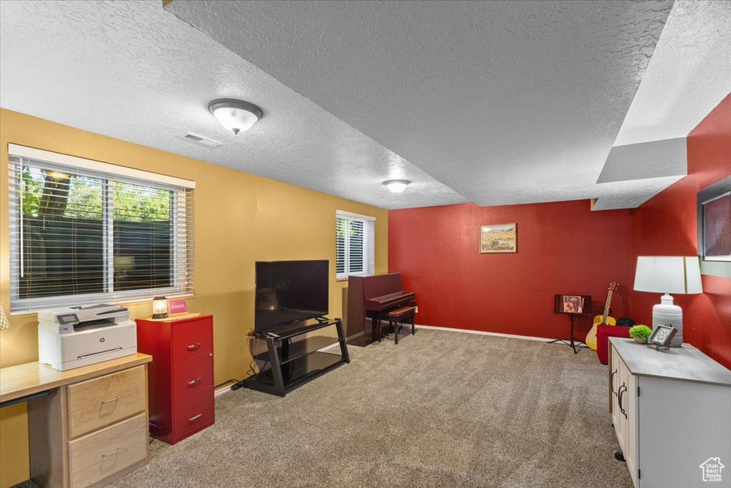 Living area featuring a textured ceiling and carpet flooring
