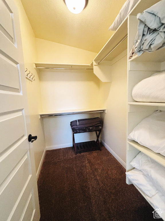 Walk in closet featuring dark colored carpet and lofted ceiling