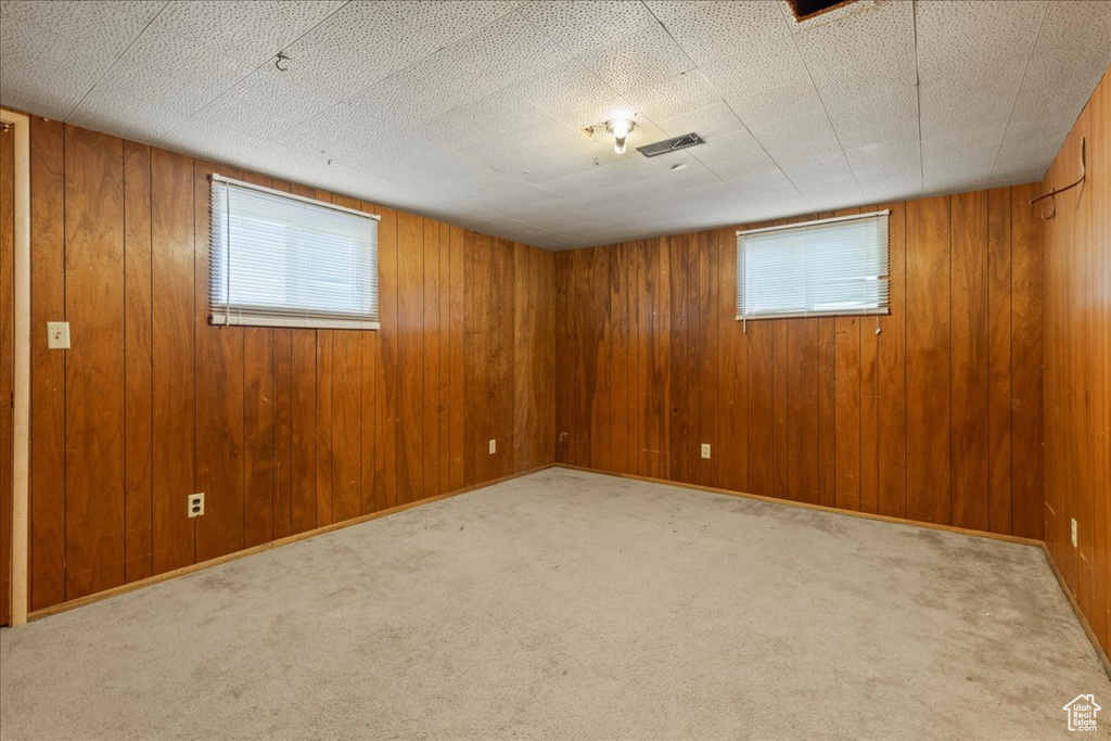 Basement featuring plenty of natural light, carpet floors, and wood walls