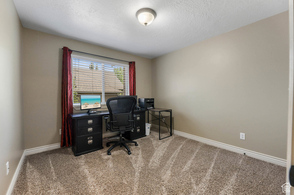 Home office featuring carpet flooring and a textured ceiling