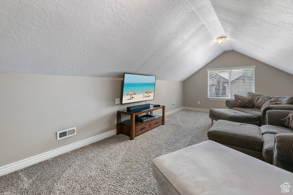Living area with a textured ceiling, lofted ceiling, and carpet