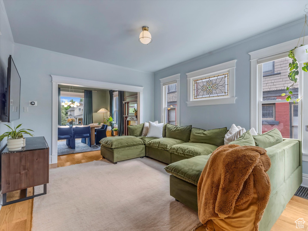 Living room featuring wood finished floors