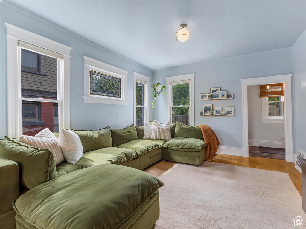 Living area featuring healthy amount of natural light, ornamental molding, a fireplace, and wood finished floors