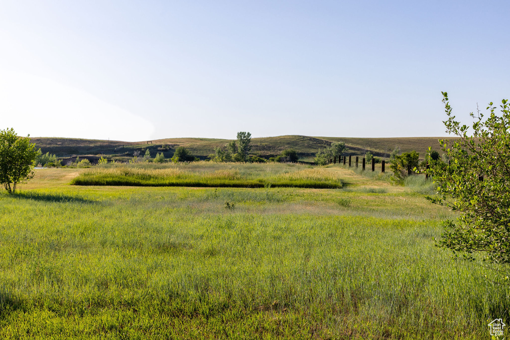 View of yard featuring a view of rural / pastoral area