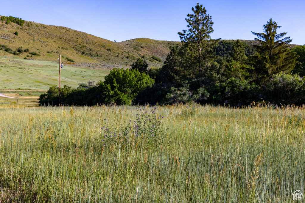 View of mountain background