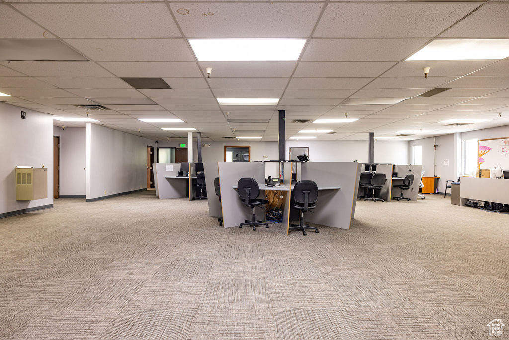 Carpeted office space with a paneled ceiling