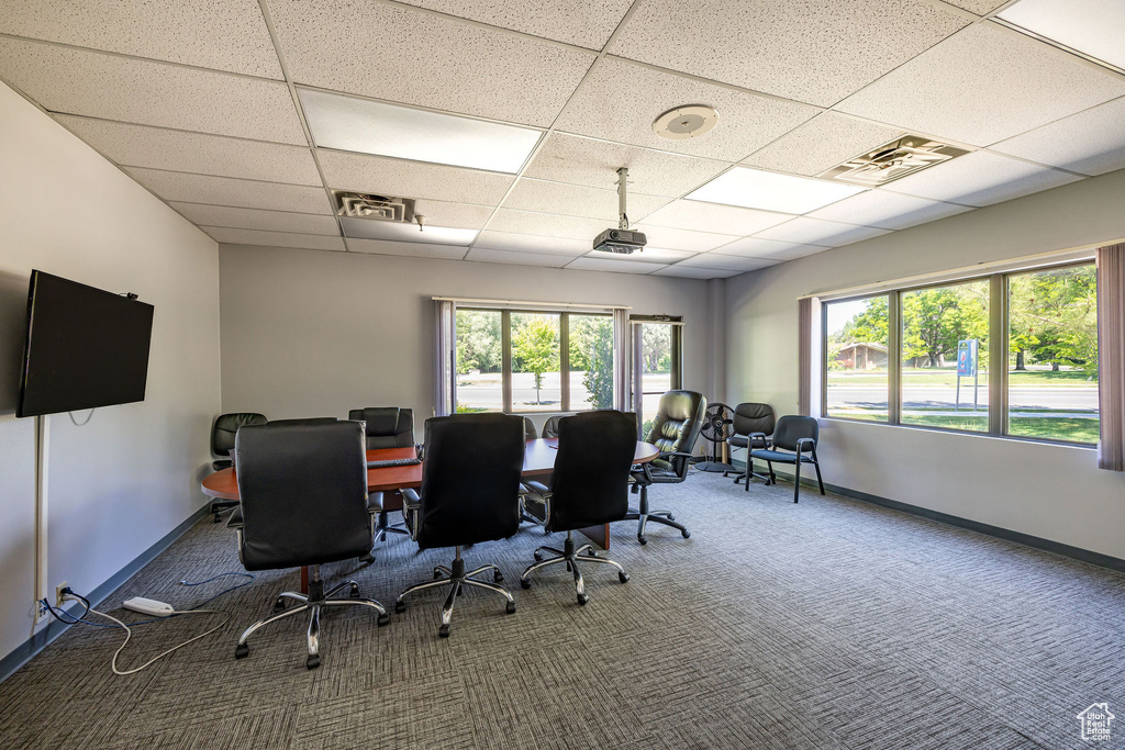 Carpeted office with a paneled ceiling and healthy amount of natural light