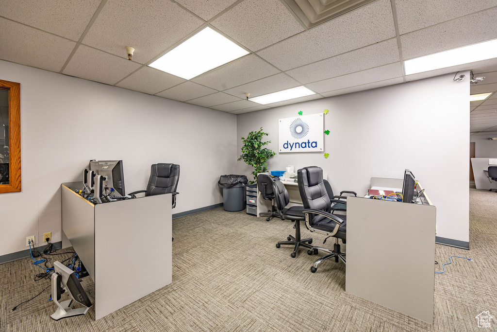 Carpeted office space featuring a drop ceiling