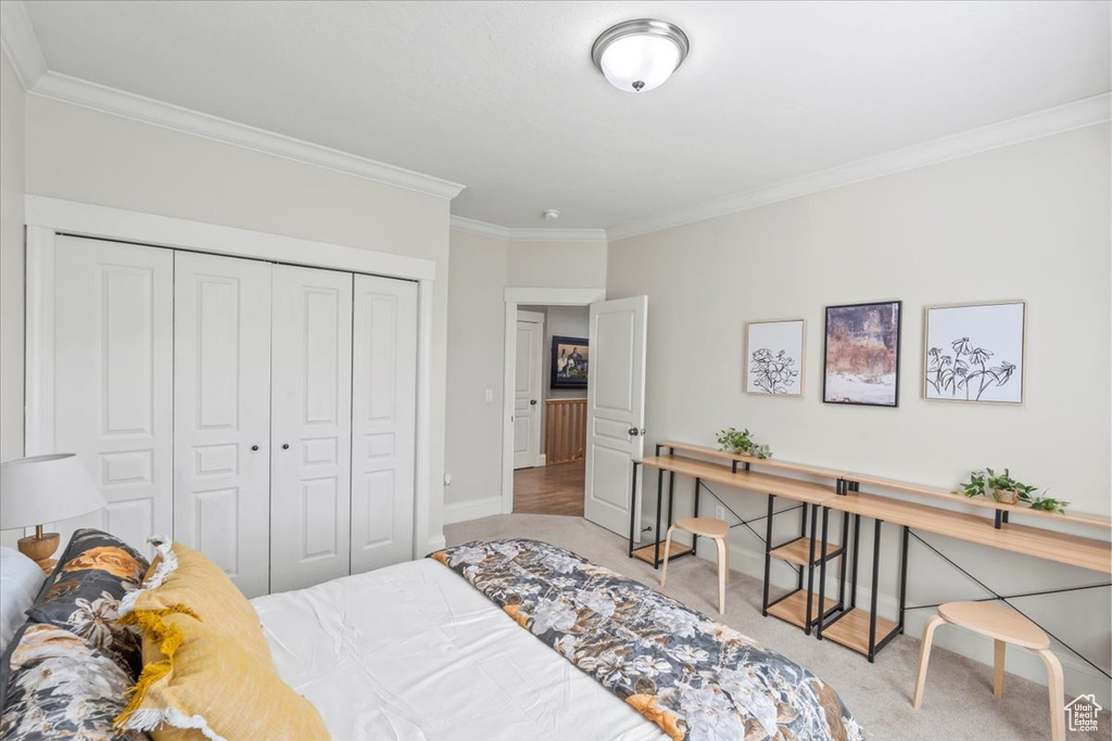 Carpeted bedroom with crown molding and a closet