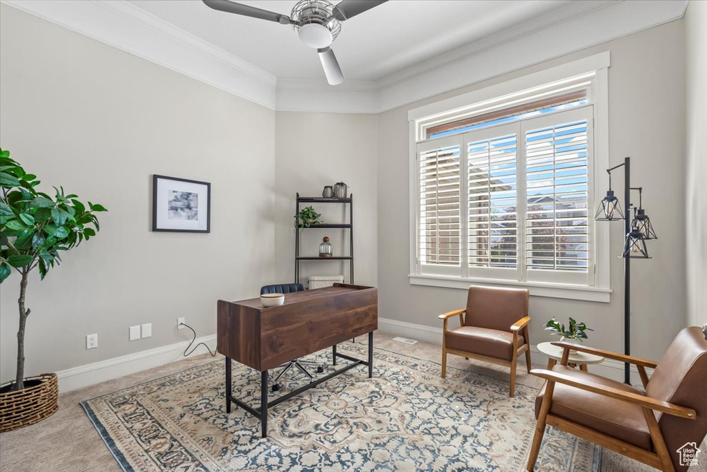 Carpeted home office with crown molding and ceiling fan