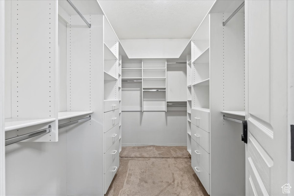 Spacious closet featuring light colored carpet