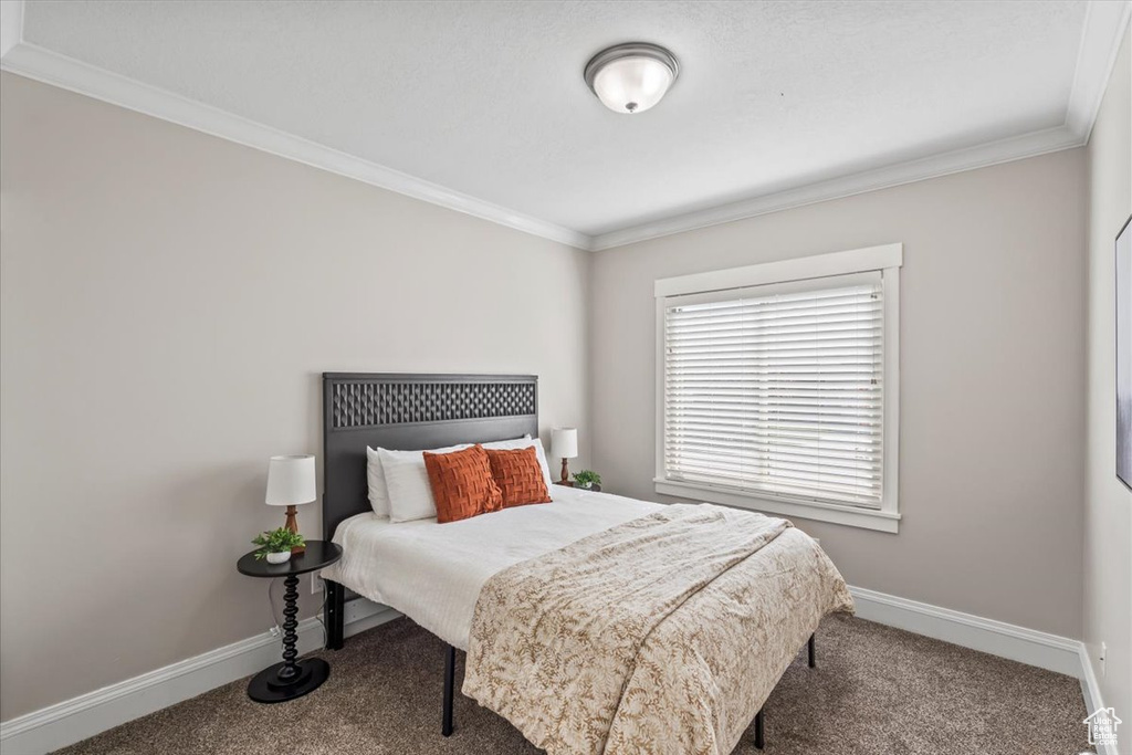 Carpeted bedroom with crown molding and baseboards