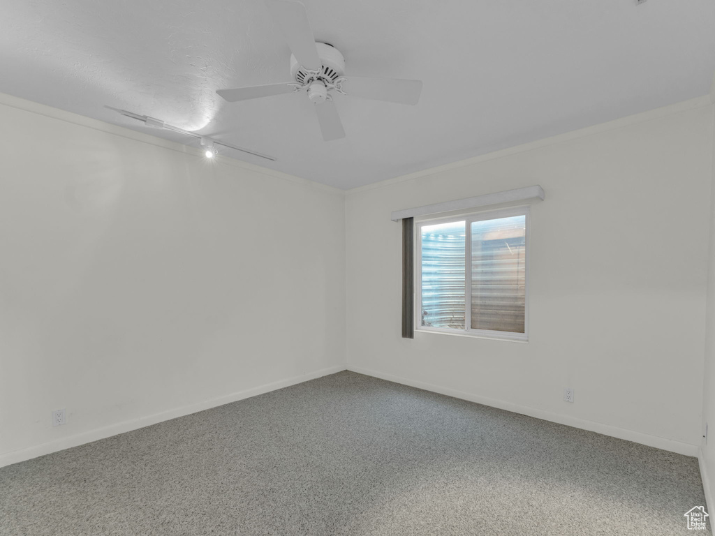 Spare room featuring carpet floors, a ceiling fan, and ornamental molding