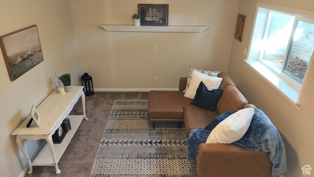 Living room featuring carpet floors and baseboards