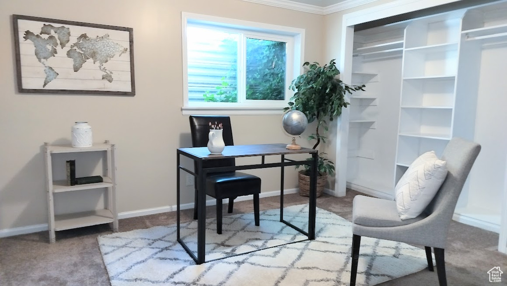 Carpeted home office featuring ornamental molding and baseboards