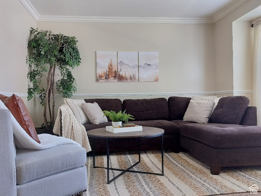 Living area featuring crown molding and baseboards